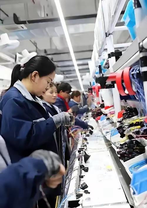 很多人不理解，欧美是发达了才实行8小时工作制的，还是实行了8小时工作制才发达的？