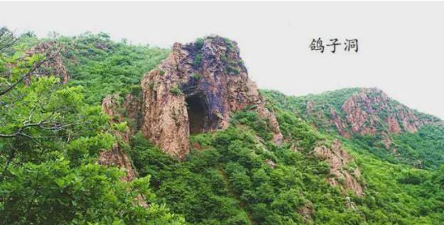 1999年，河北省隆化县一处平日静谧的村庄内，发生了一件非同寻常的事——四名少年