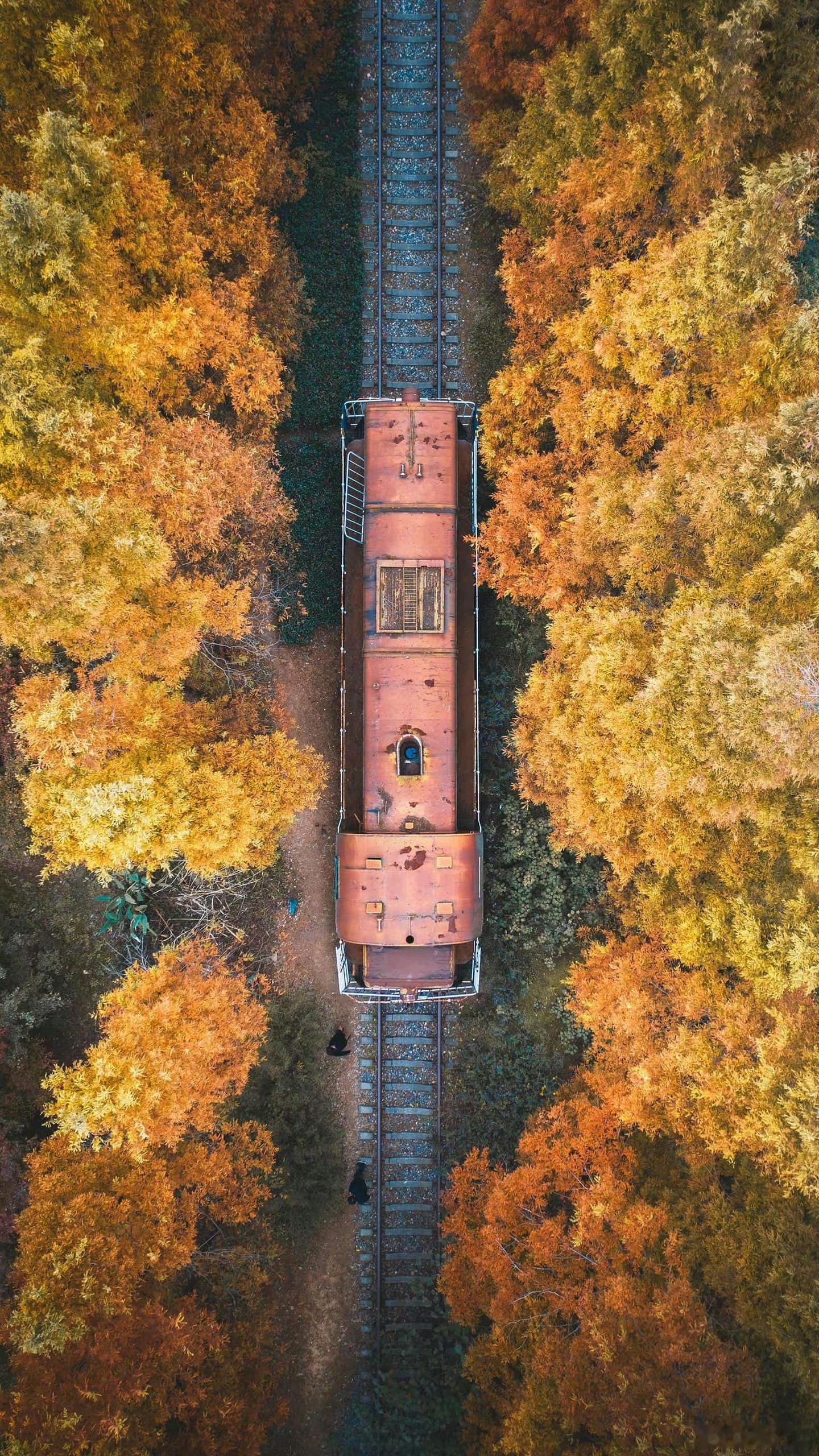 早安早安,新的一天治愈不开心人生感悟人生微语早安心语情感语录每天说早安心情日记