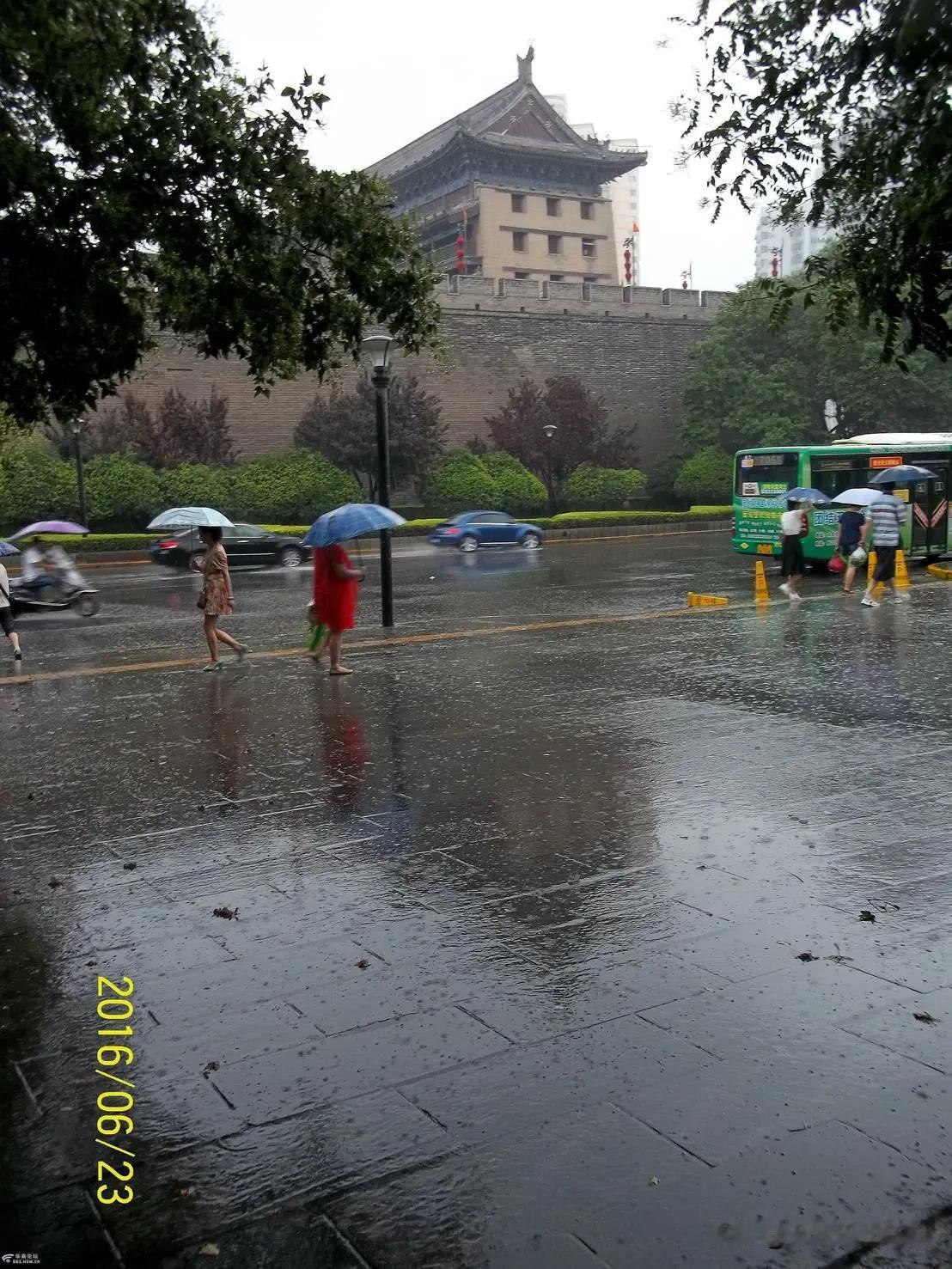 西安小雨一细雨连绵润长安，花影叠翠鸟语甜。笛声