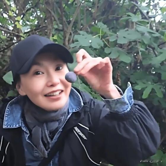 刷到60+的张曼玉在法国乡下过退休生活，养花、种草、喂鸡，日子过得慢悠悠，太惬意