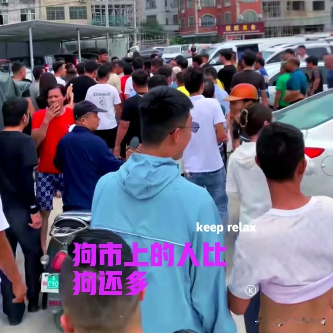 朋友到广西出差，顺便逛了一下当地的狗市。如果遇到合适的小狗，他想带几只回成都，因