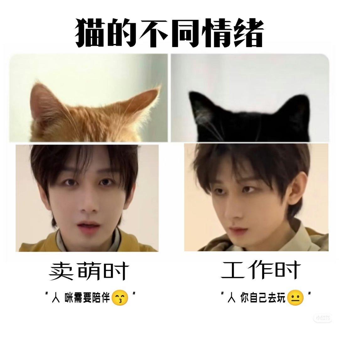 冷脸咪看起来更诱人🥵🥵