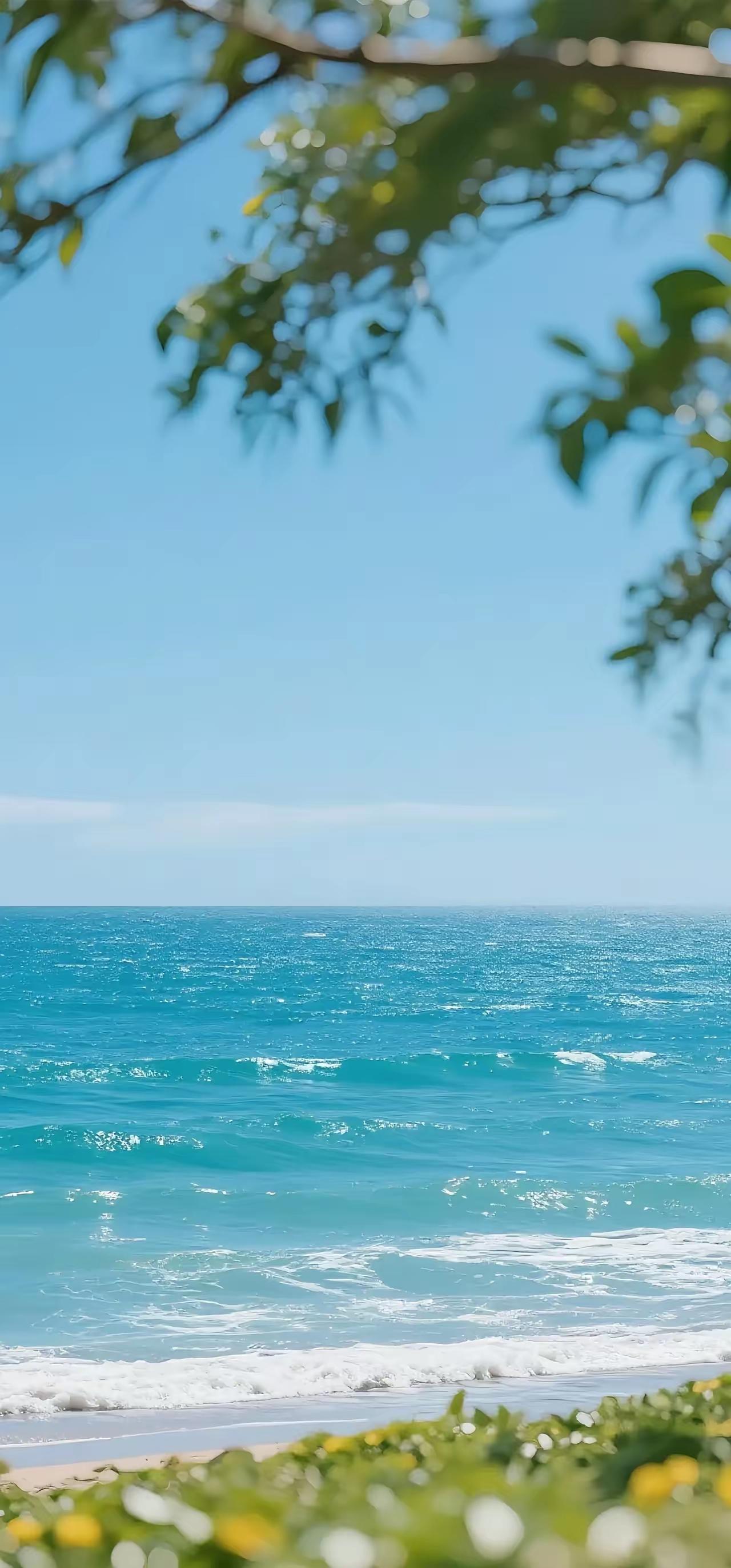 令人深思的话：“养孩子的最终目的，不是孝顺，不是成才，而是让他能从容地离开你，去