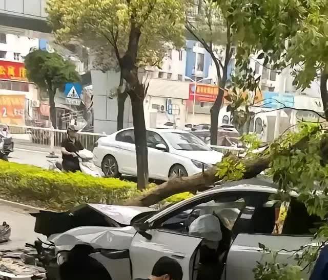 雷军造车，都没有你们“造”的快！我就想问问，买小米汽车的车主，你们开这么