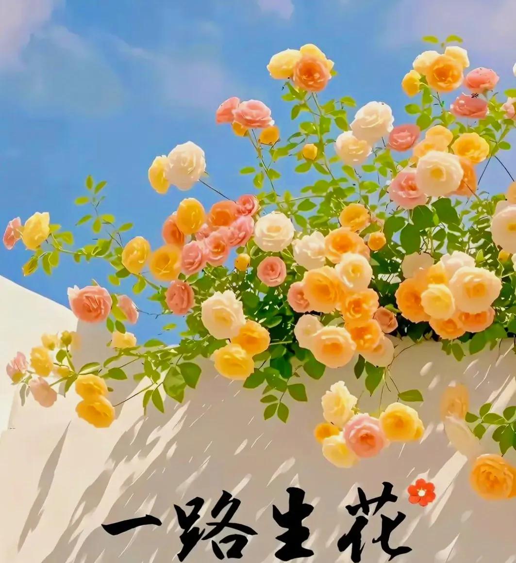 什么样的女人是男人心中的好老婆？今天听到某男人说了几条，我真相了。1.不抱怨