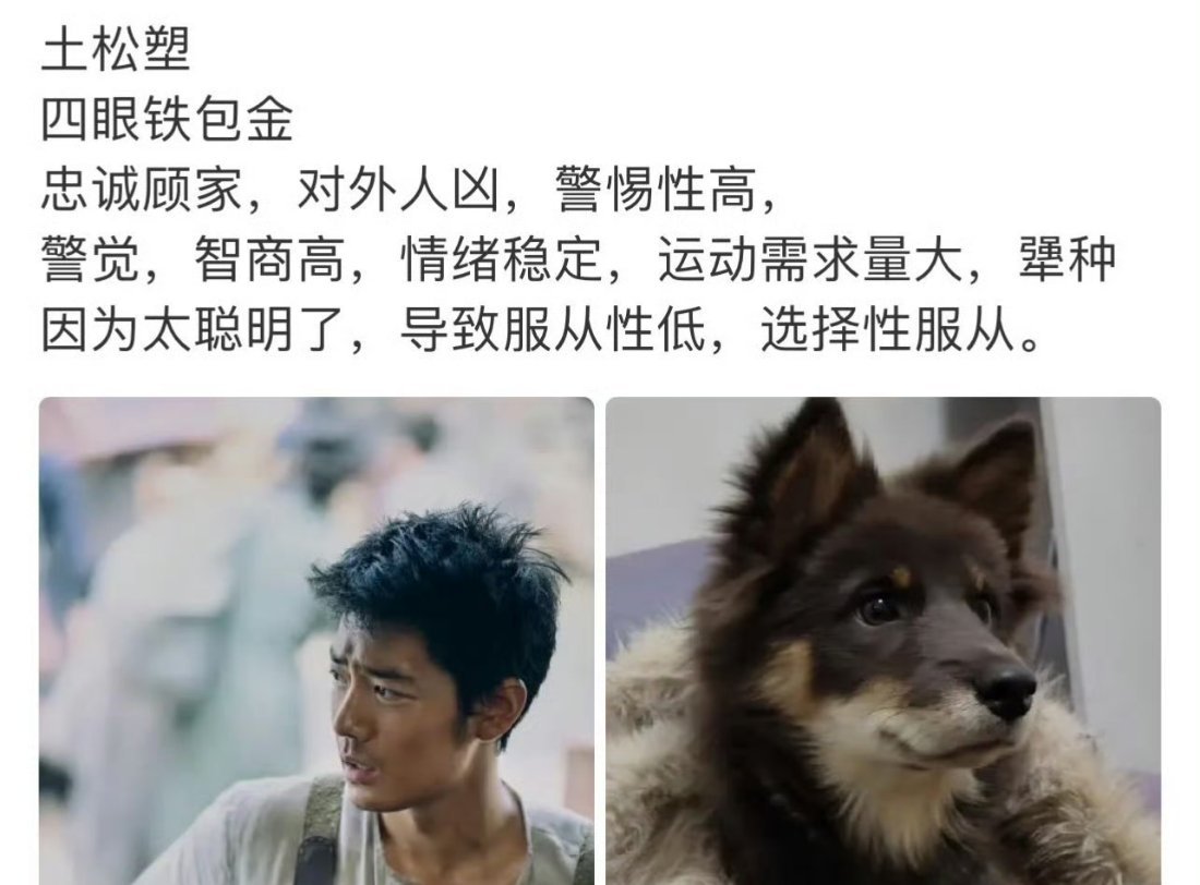 得闲谨制有自己的田园犬系男主“做更好的家”太戳心，顶梁柱+忠犬，莫得闲人设超带