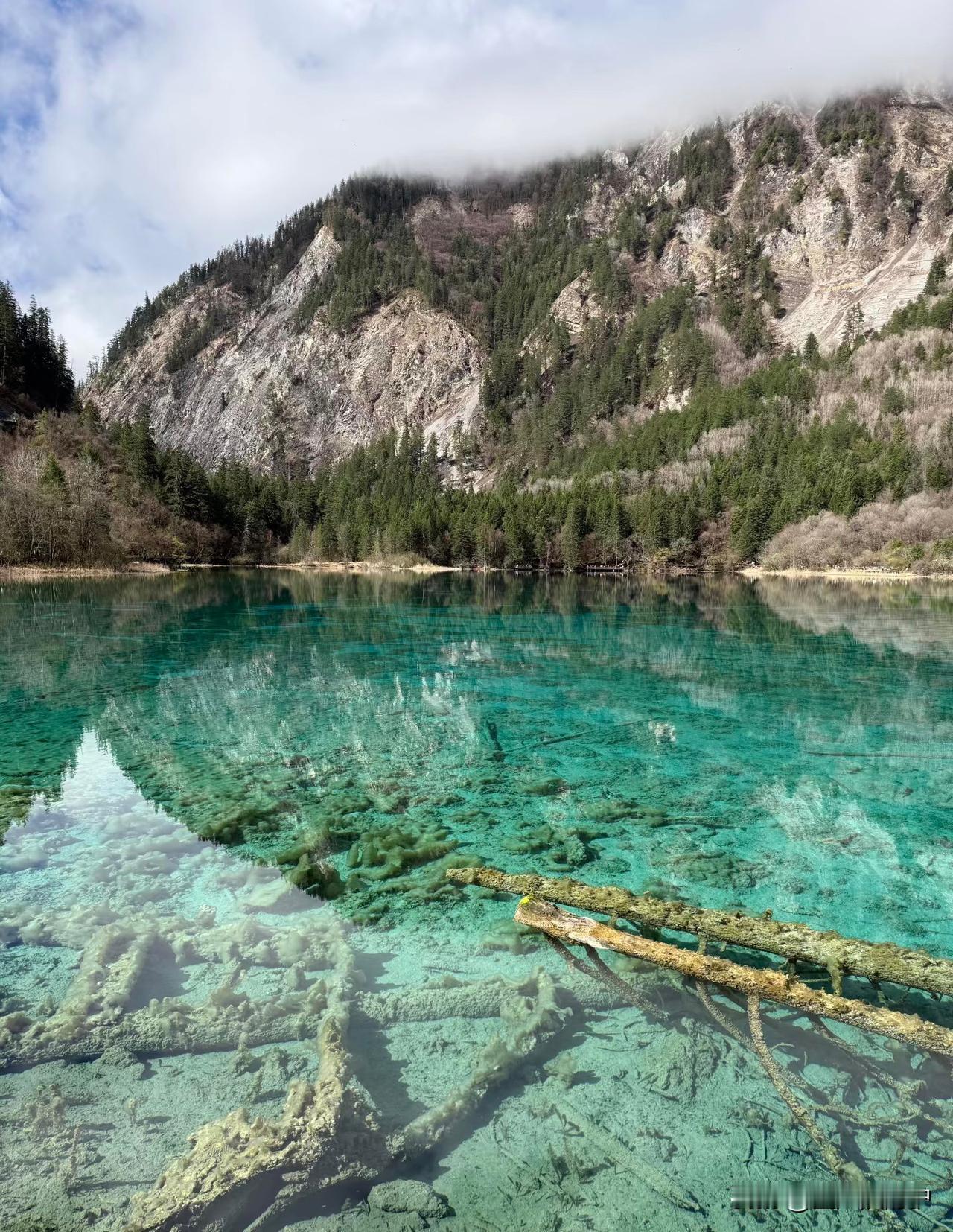 清明节和朋友临时决定冲九寨沟，身边人都夸它绝美，加上不想跑太远的川西，我们直接出