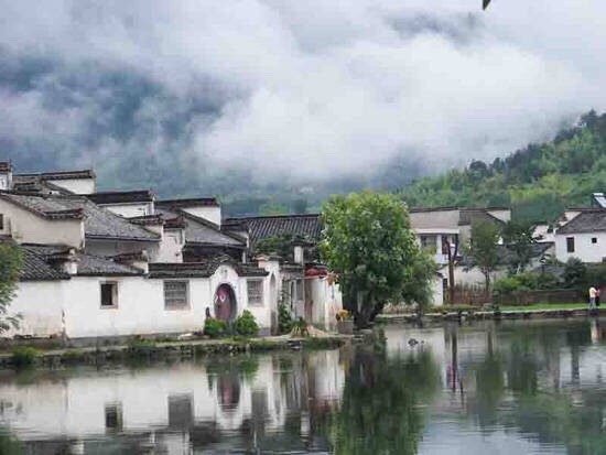 3月国内出游地推荐1⃣️婺源,油菜花海；2⃣️南岳衡山,满山杜鹃花；3