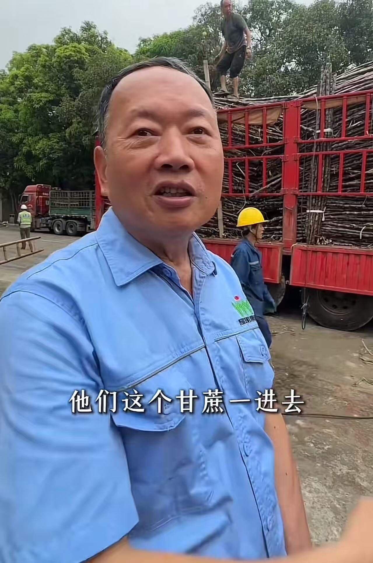 好人难当！化州老板陈耀开糖厂收甘蔗助农，本来是件挺好的事，结果有个蔗农跳出来骂得