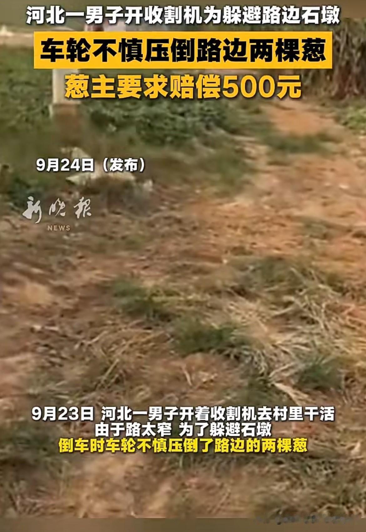 恶人到处有！河北邯郸，男子开收割机压到路边的2棵葱。葱主人的儿子当场表示没关