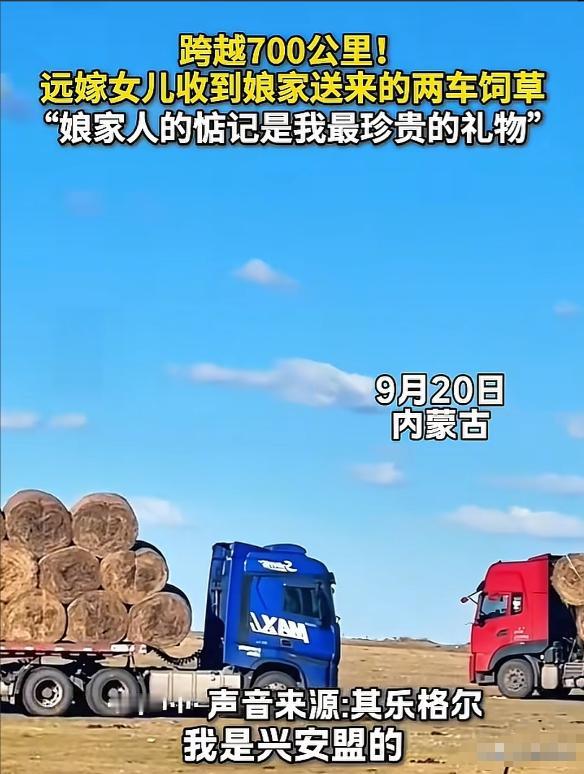 “真的看哭了！”内蒙古一位姑娘从兴安盟远嫁到锡盟阿巴嘎旗。今年当地雨水偏少，她家