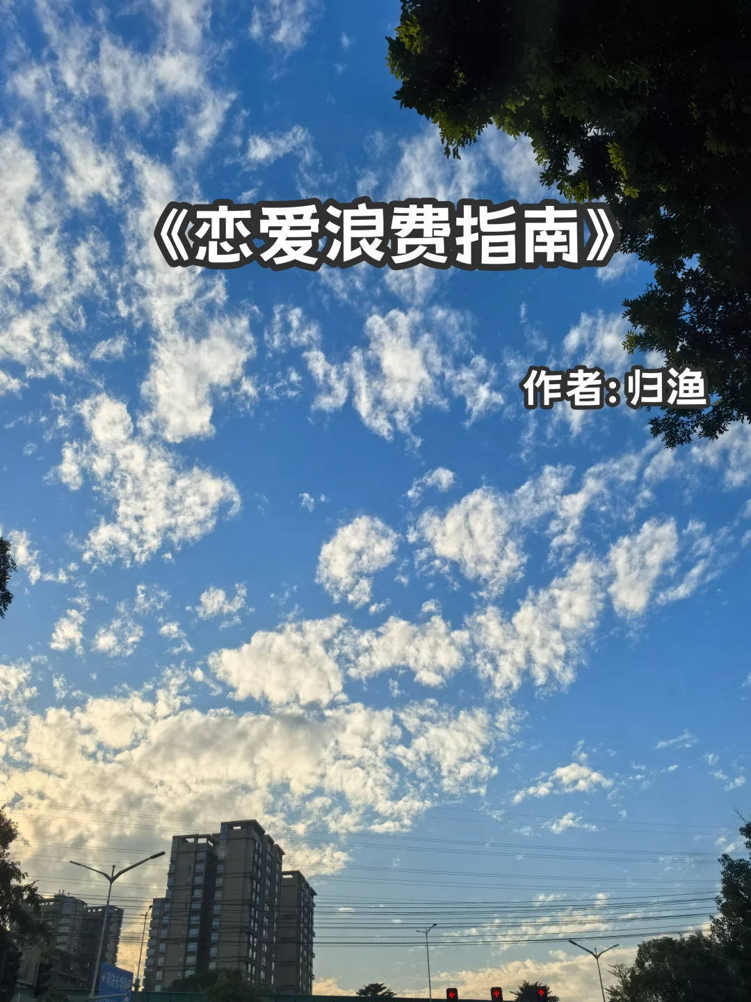 宅家小说｜酸涩暗恋《恋爱浪费指南》