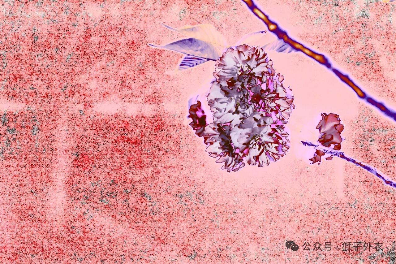 有个女同学半夜发我消息：“以后别联系了，我老公怀疑我们。”我一脸懵：我们一