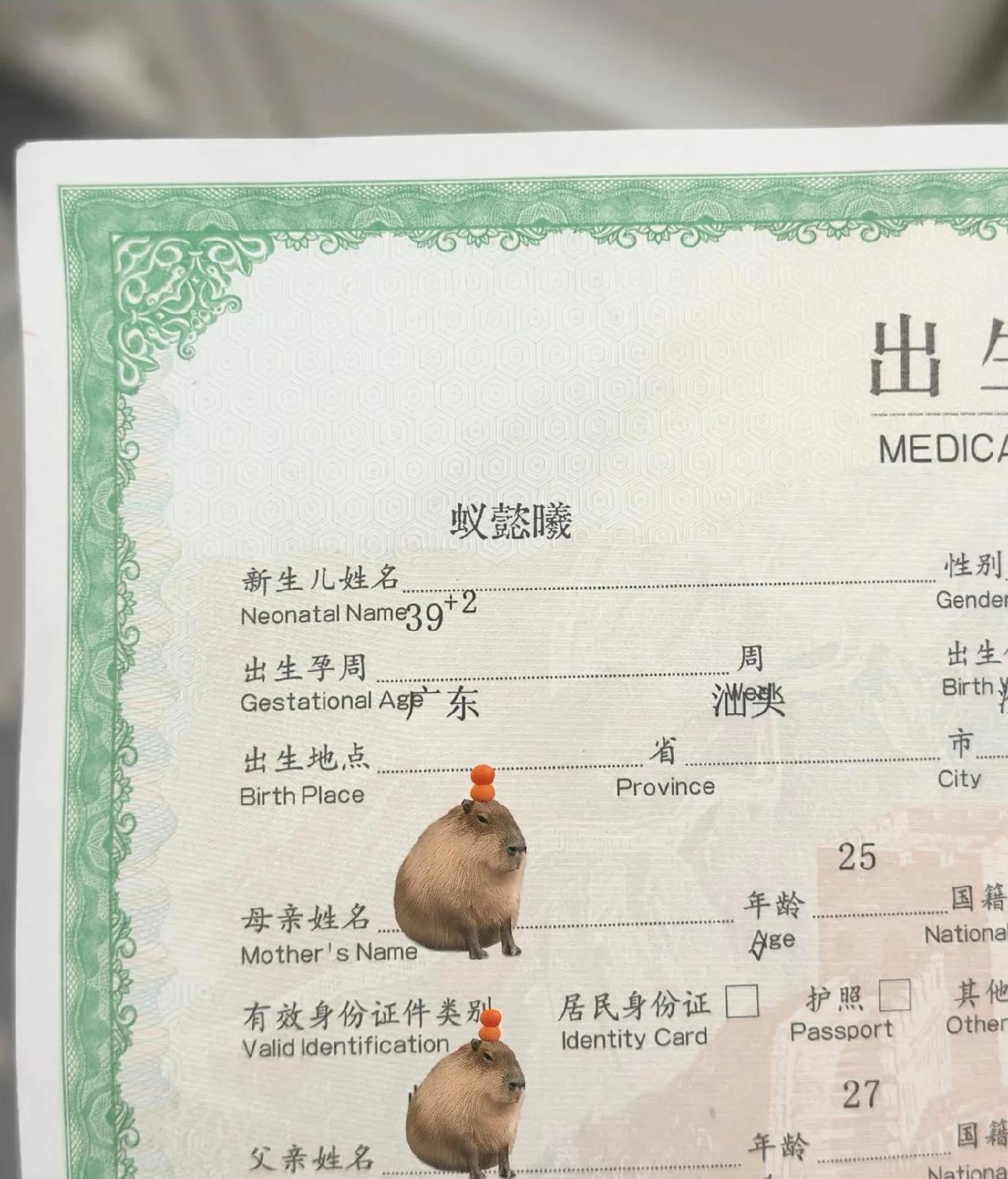 孩子：你们起名考虑过我的感受吗？[笑着哭]