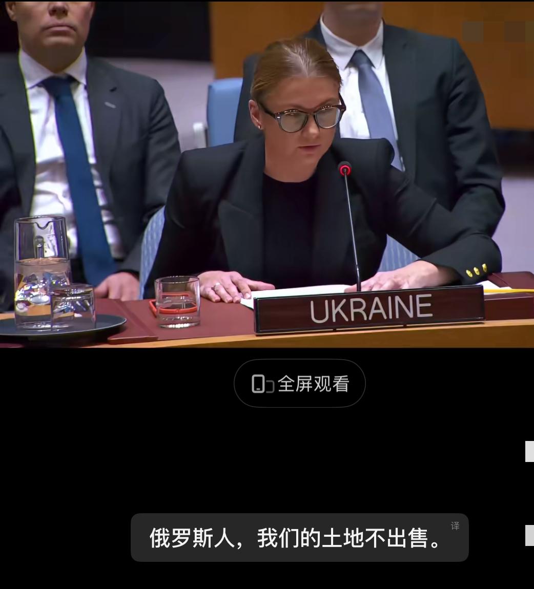 乌克兰联合国代表否决了特朗普提出的和平方案！其一，绝不让步，毫无谈判余地。