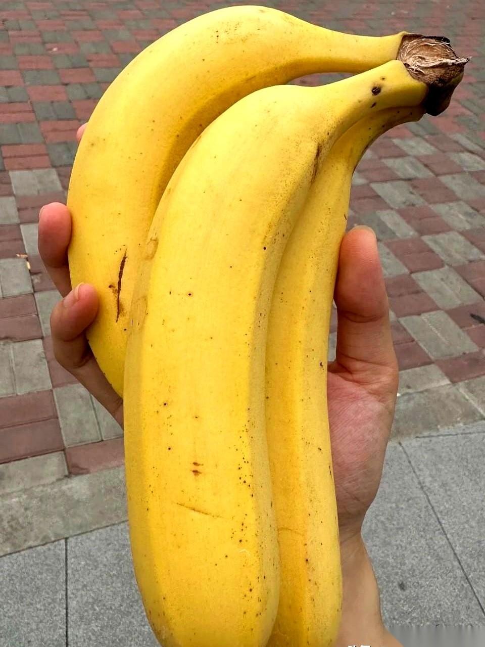 真到了那个份儿上，别说一天三顿啃玉米了，就是啃树皮，只要能掉秤，估计都有人干。