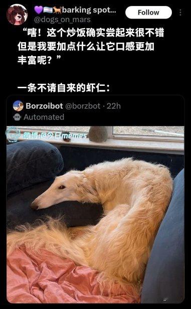 久仰（dogs_on_mars）今日meme今日memes​​​