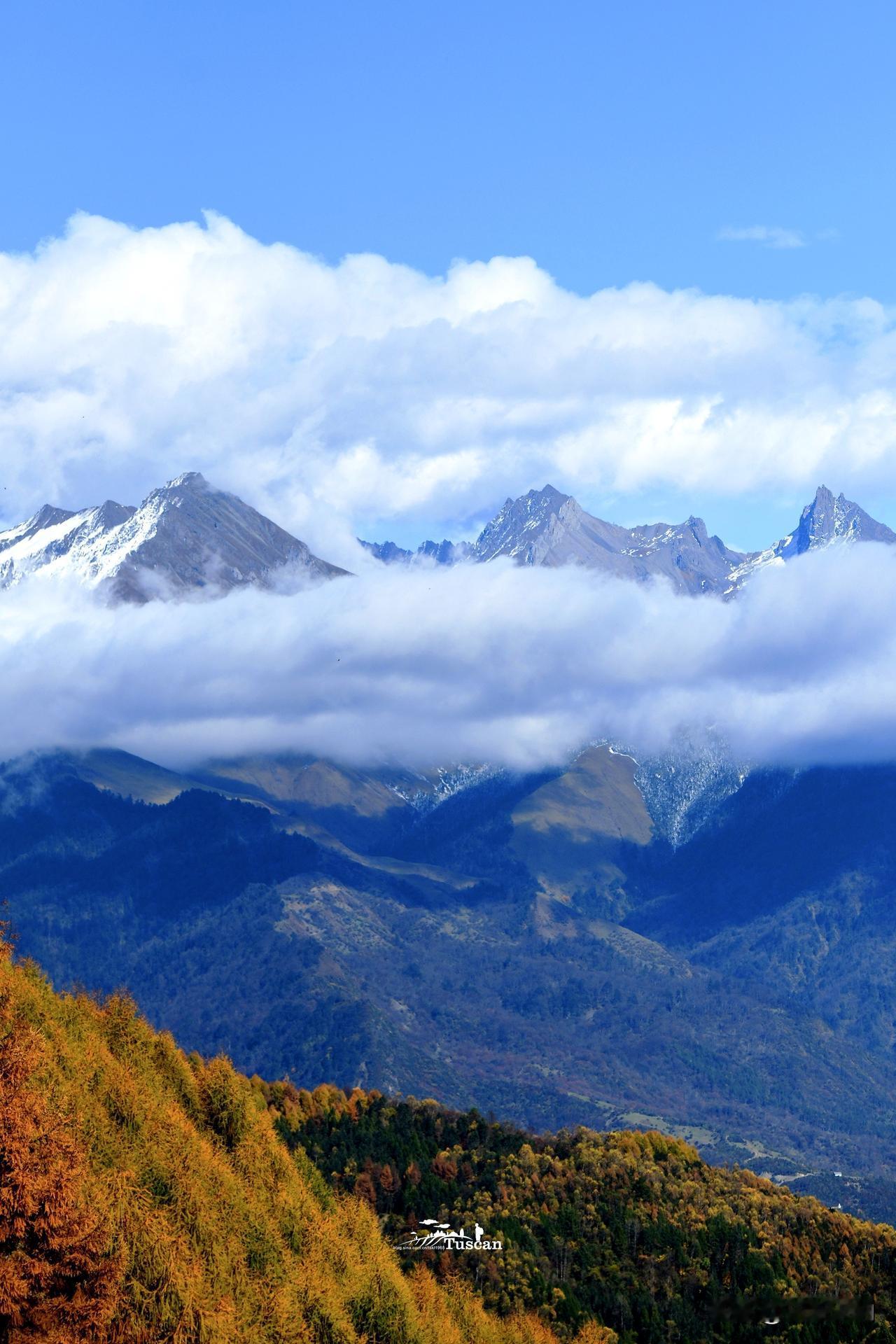 枝头树叶金黄，风来声瑟瑟！硗碛藏寨的秋天，层林尽染，彩林与藏寨相互映衬，宛如一幅
