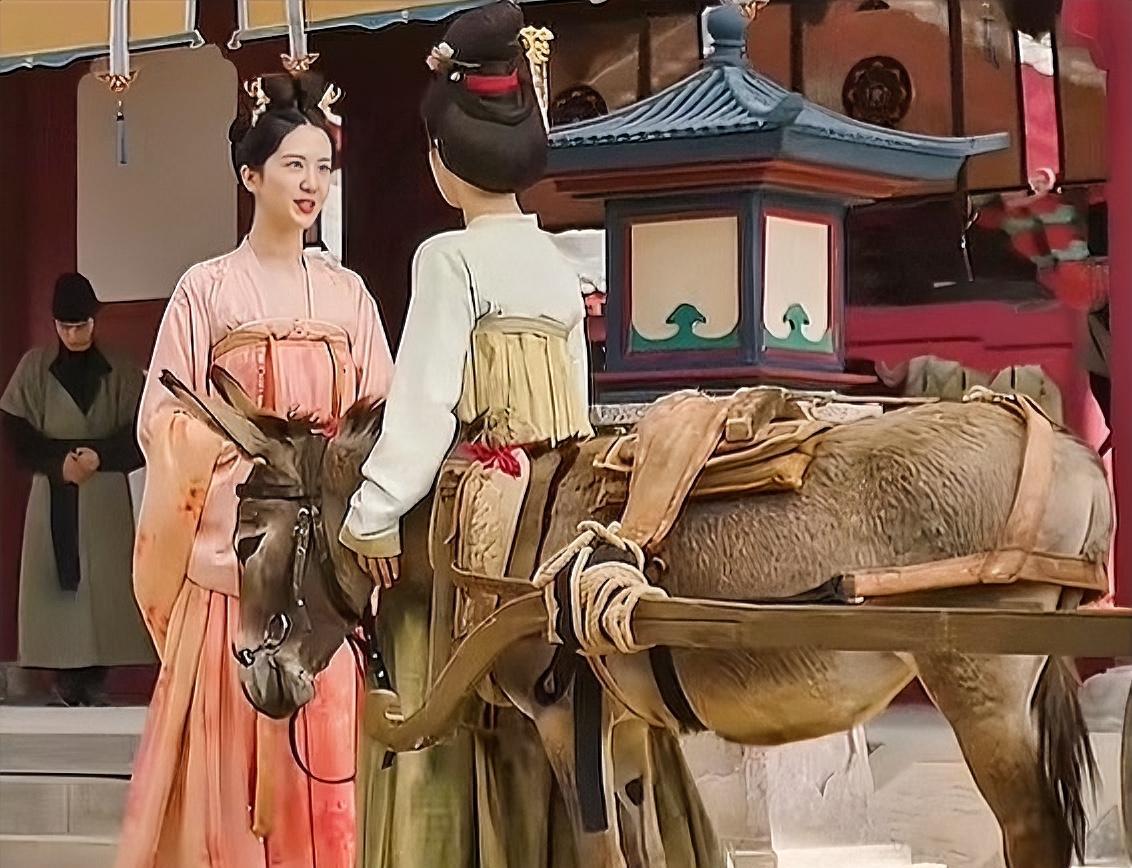 《锦绣芳华》牡丹就算嫁给了蒋长扬，她的驴车还是驴车，可是当她看见雪溪自由地坐在蒋