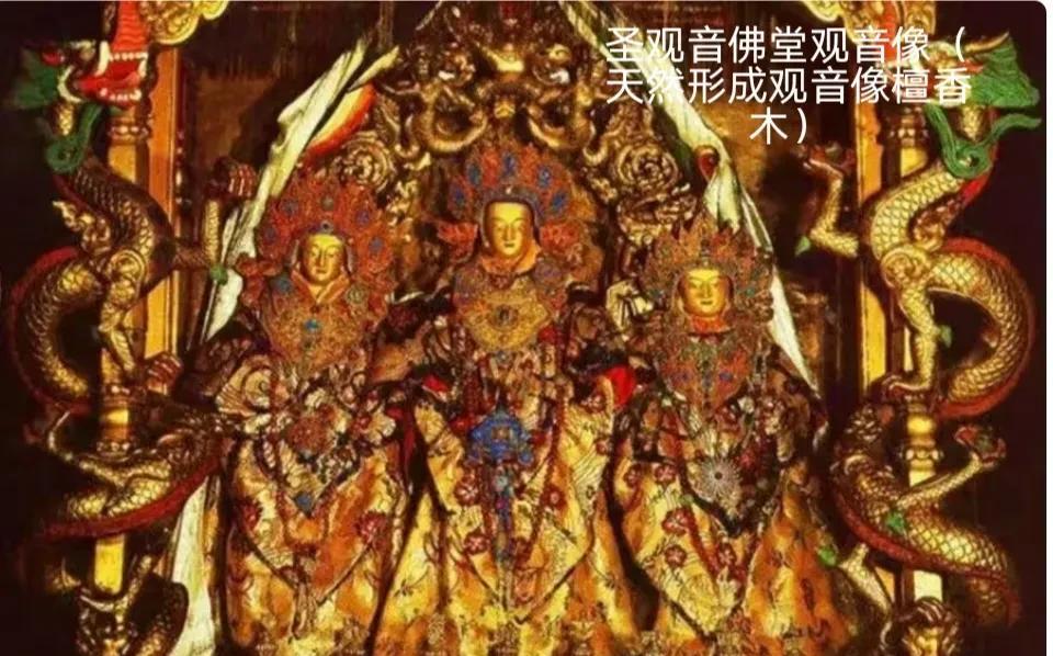 布达拉宫内观音佛堂所供的天然檀香木观音菩萨像，那简直是个传奇。这尊像据说已有千年