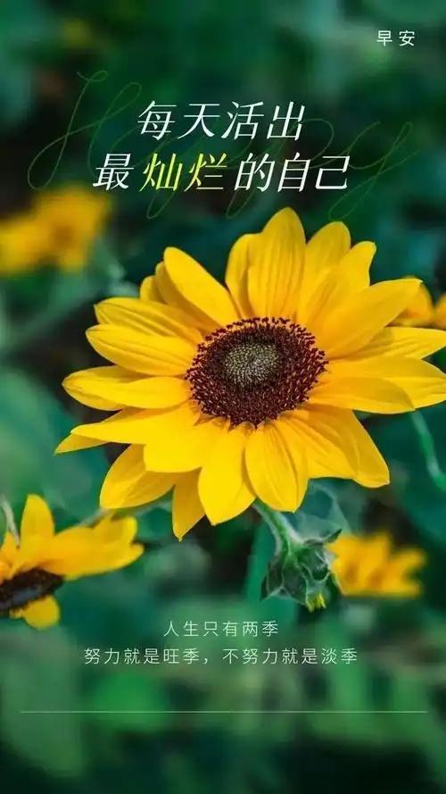 小运播报：2025年11月16日，星期日，农历九月廿七(乙巳年丁亥月己丑日)，