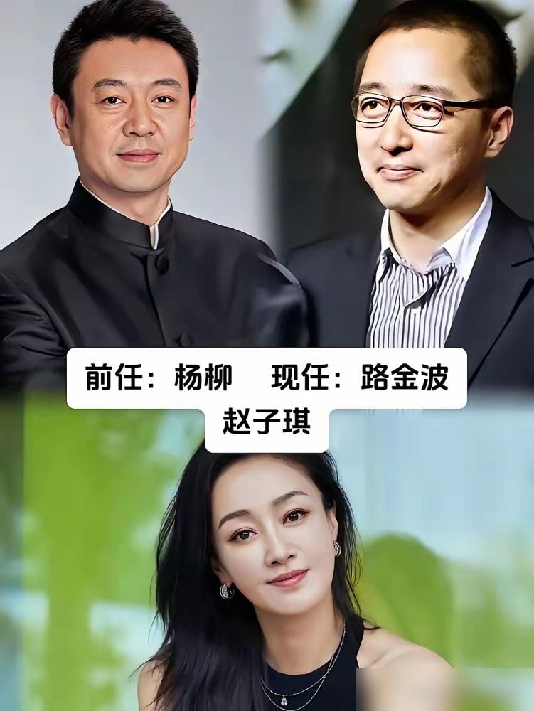 别再同情马伊琍秦海璐了。你真以为她们当年被男人背叛，输掉的仅仅是爱情？我告诉