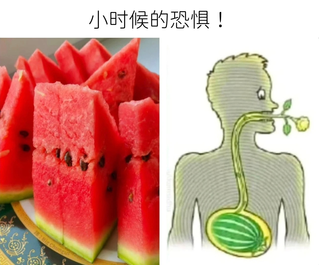 真实meme​​​