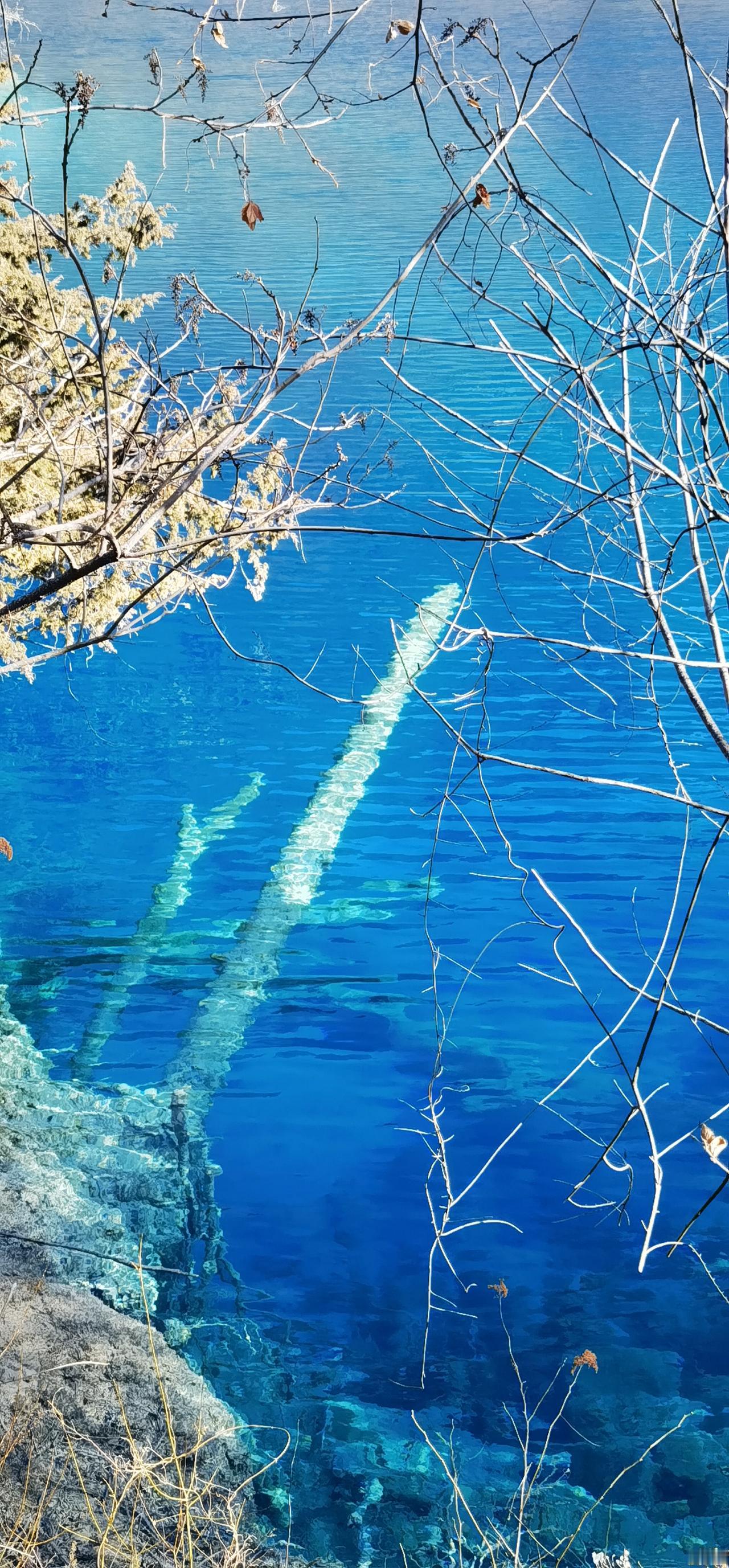 大年初三，和我家姑娘用8个小时走完了九寨沟的三条沟，走了3万多步。这次出游九寨，