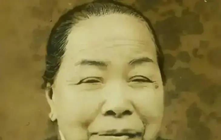 1965年，台北松山机场警卫严密。七十八岁的蒋介石一把推开侍卫颤颤巍巍地朝着跑道尽头奔去，飞机舱门开
