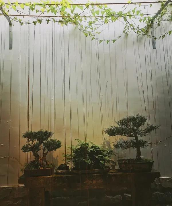 什么是好风水风水不在别处而是一个人的内心和修为内心光明磊落善良温和憨厚
