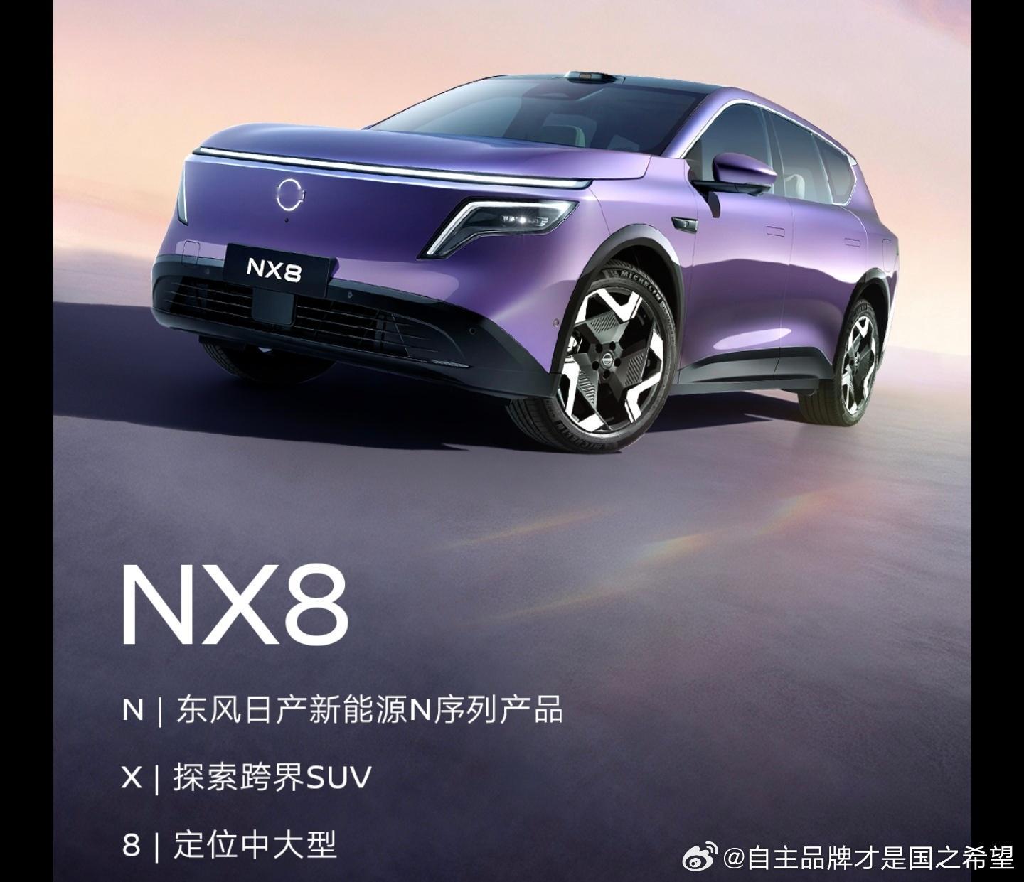 东风日产换了中国团队主导效率提升很大啊。新品接连不断。看来是要和嘟嘟嘟对台戏唱到