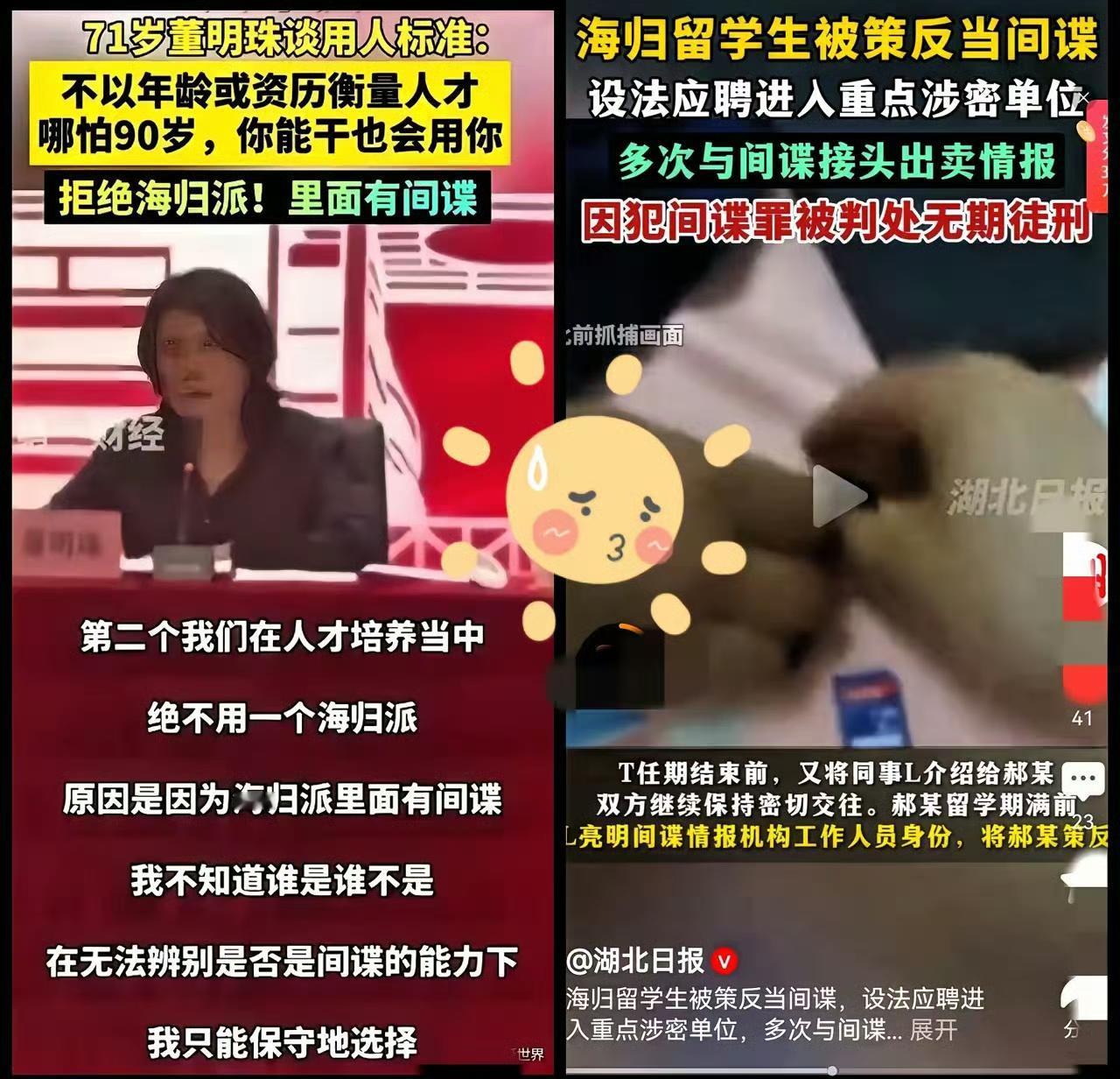 直到现在才明白董大姐“不用海归”的含金量：别让国际合作变成立场迷失！董大姐