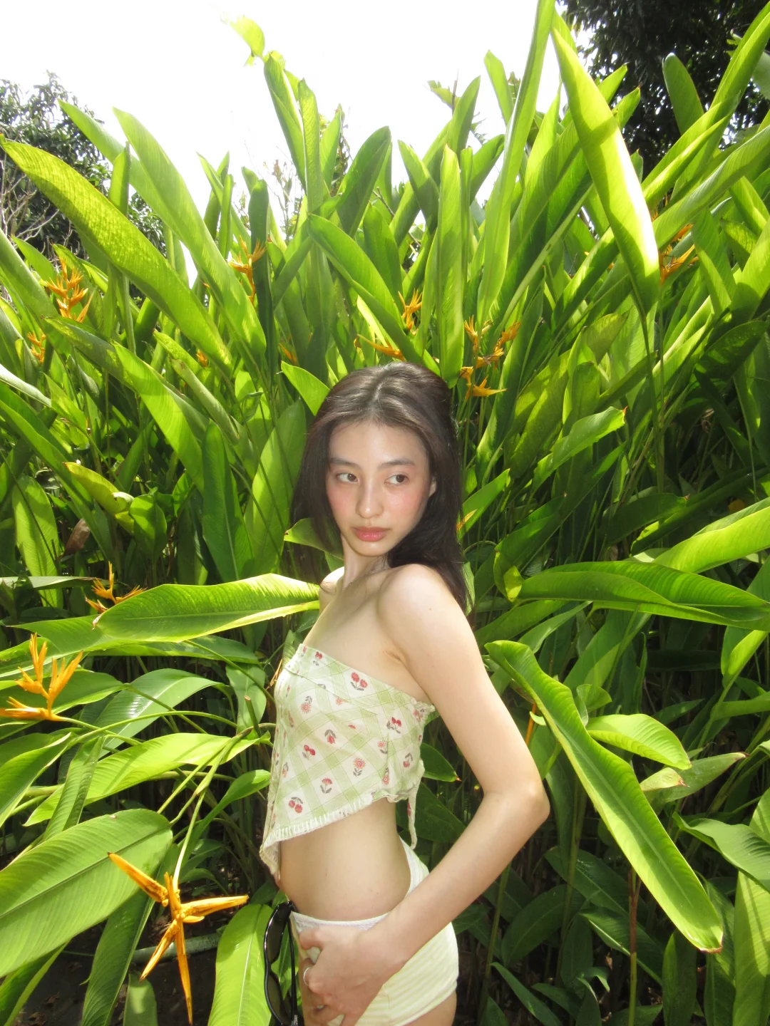 🧚🏻‍♀️绿野仙踪的夏天🍃☀️