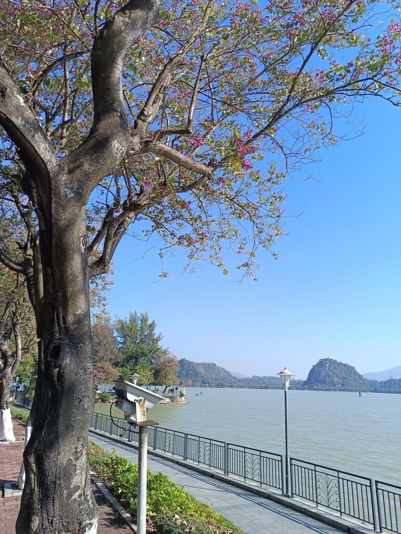 有一件事我不知道怎么说才好我发现这个很严重的问题你敢相信吗？肇庆的外来