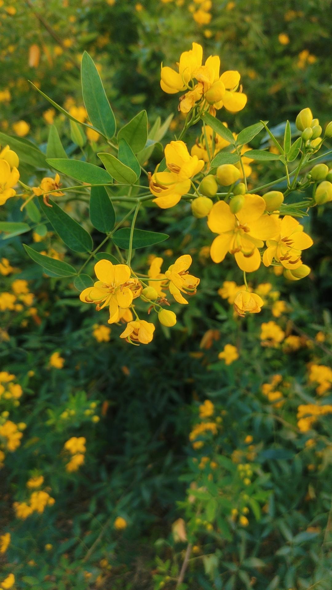 我们家的一个亲戚，结婚前无房无车，为了结婚借钱买了一辆车。生了小孩后，一岁多