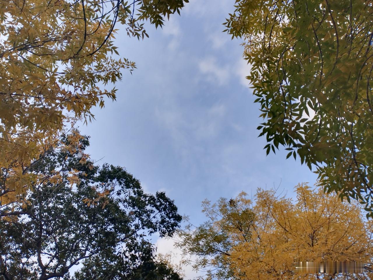 前些年我还不理解我老爸，说他不懂享福，每天早上五点起床，那么早起来干啥呢？躺在被