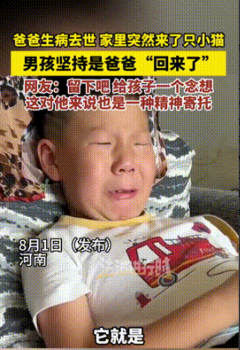 “科学无法解释！”河南，一父亲因病去世后，儿子晚上做梦，竟然梦见爸爸变成了一只猫