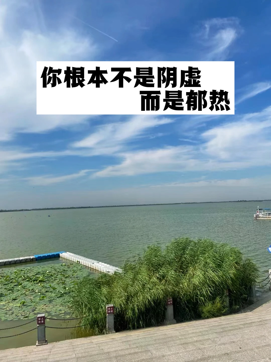 你根本不是阴虚，而是郁热！