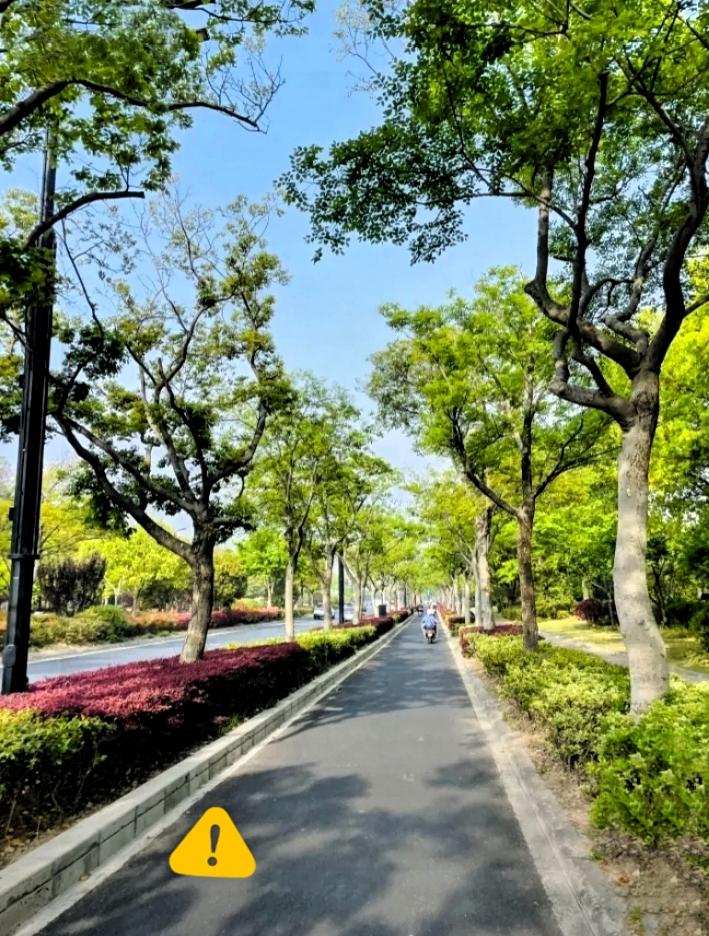 大家可以提前做好防暑准备，8月7日19点43分正式迎来立秋。不少人好奇为何要精确