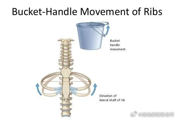 呼吸训练我发现很多新朋友，一直搞不清楚呼吸的模式，不同呼吸之间的差别，今天就
