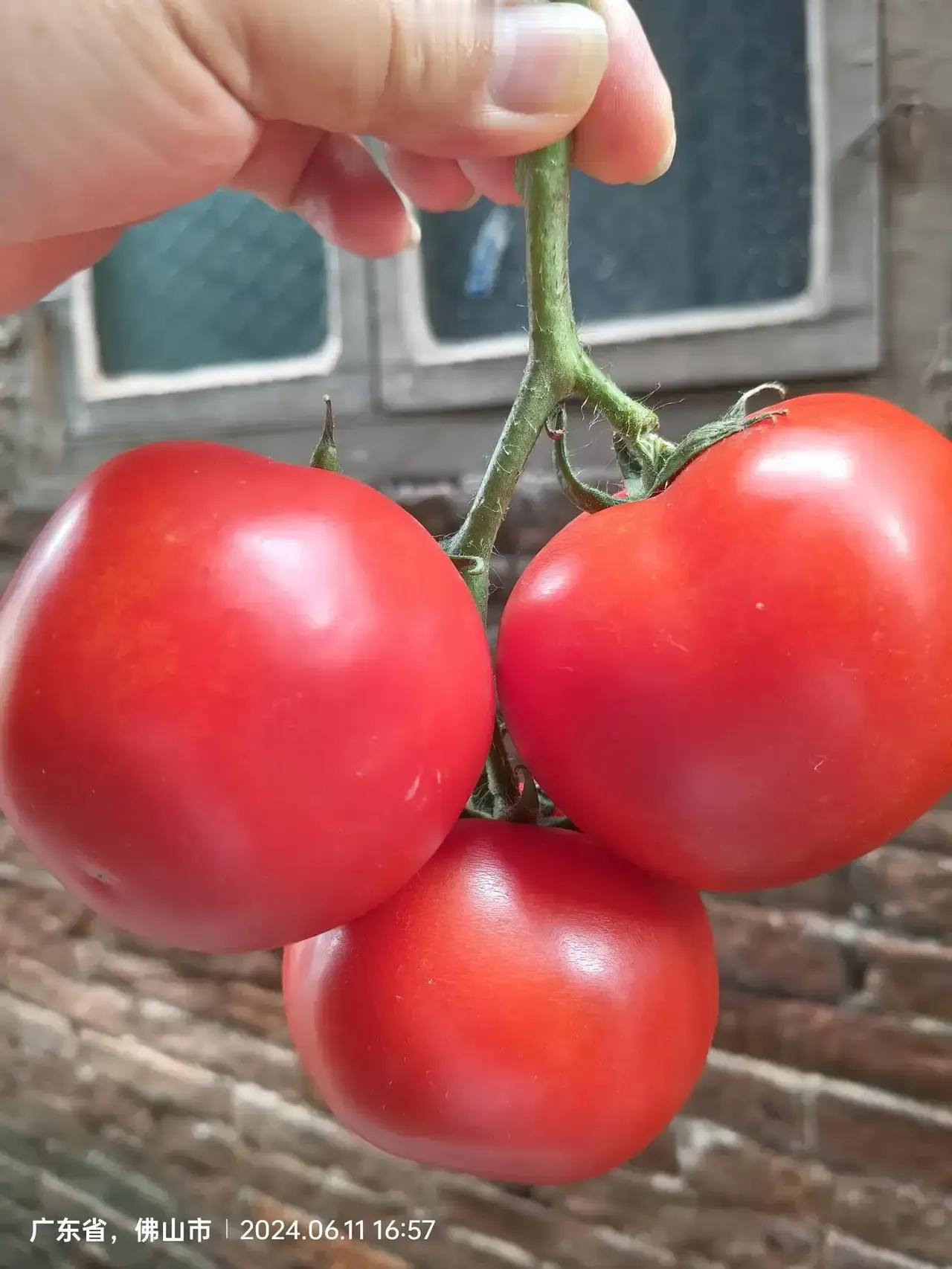 广东河粉，在市场买生的，两块和两块五一斤。五角钱的葱，再加一块钱一个的鸡蛋，油