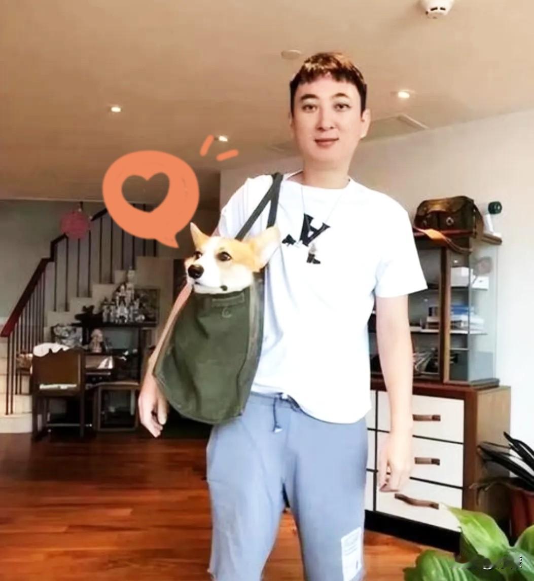 王思聪其实给天下男人提了个醒：不管你多风光，手里有多少钱，千万别一头扎进享乐里拔