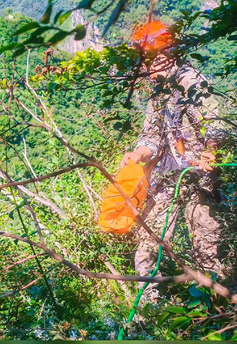南太行程梦园，遗体找到了，没有奇迹！在张良脑山崖，距民宿直线不到1.5公里，走