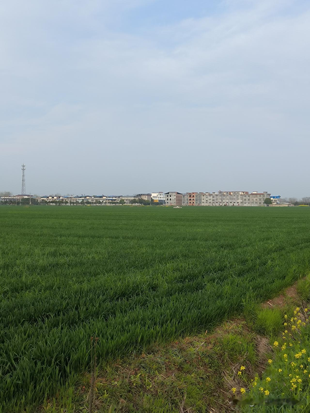 今天下午，我和几个人聚在一起闲聊。聊到村里一对夫妻都患癌的事儿时，有个中年女人说