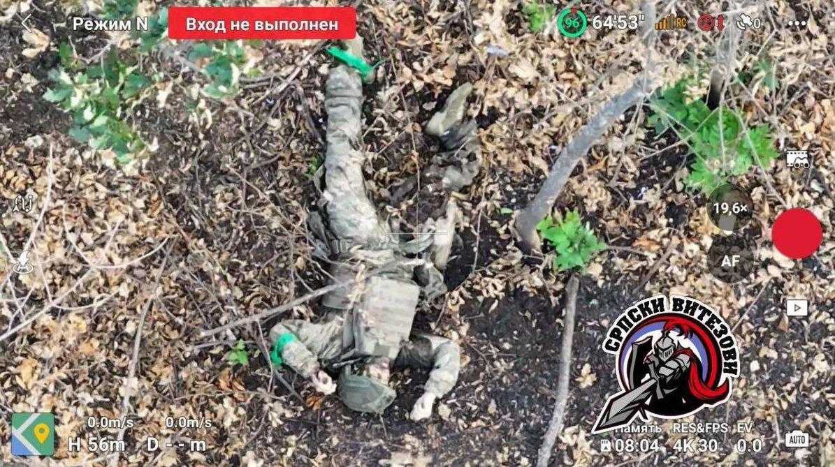 在乌克兰第聂伯罗彼得罗夫斯克方向，林带里遍布着乌军的尸体，为了守住阵地乌军蹲坑兵