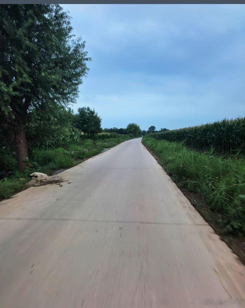 难怪都说骑行圈的看不上跑步圈的呢！