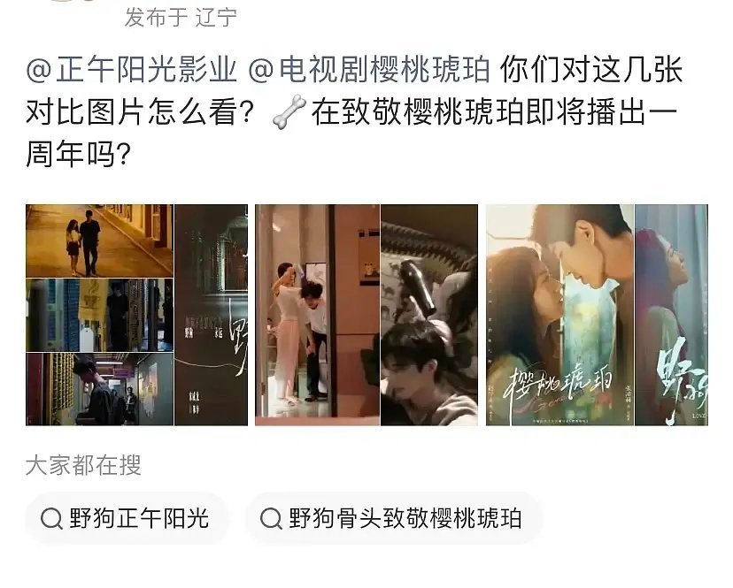 野狗骨头抄袭樱桃琥珀？😱😱😱
