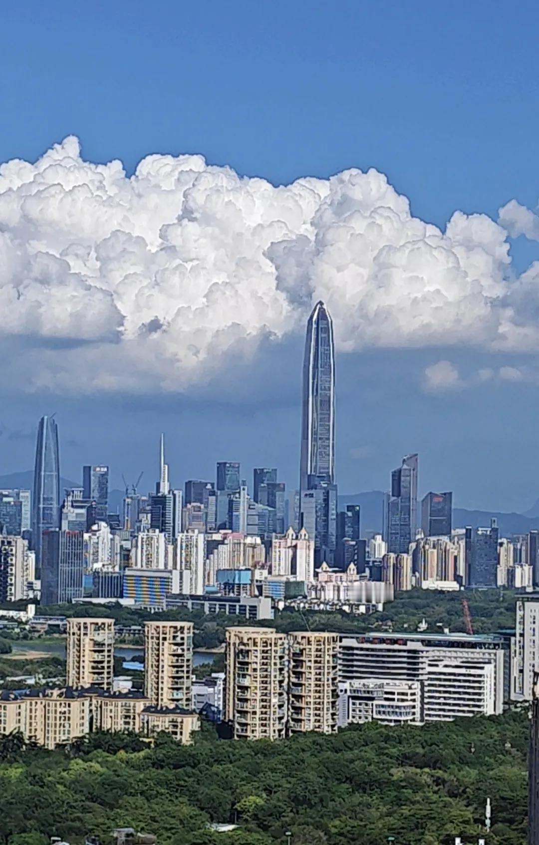 高考第一天，深圳的天气给力！阳光灿烂，一切皆美好。这是深圳市福田区CBD的景观，
