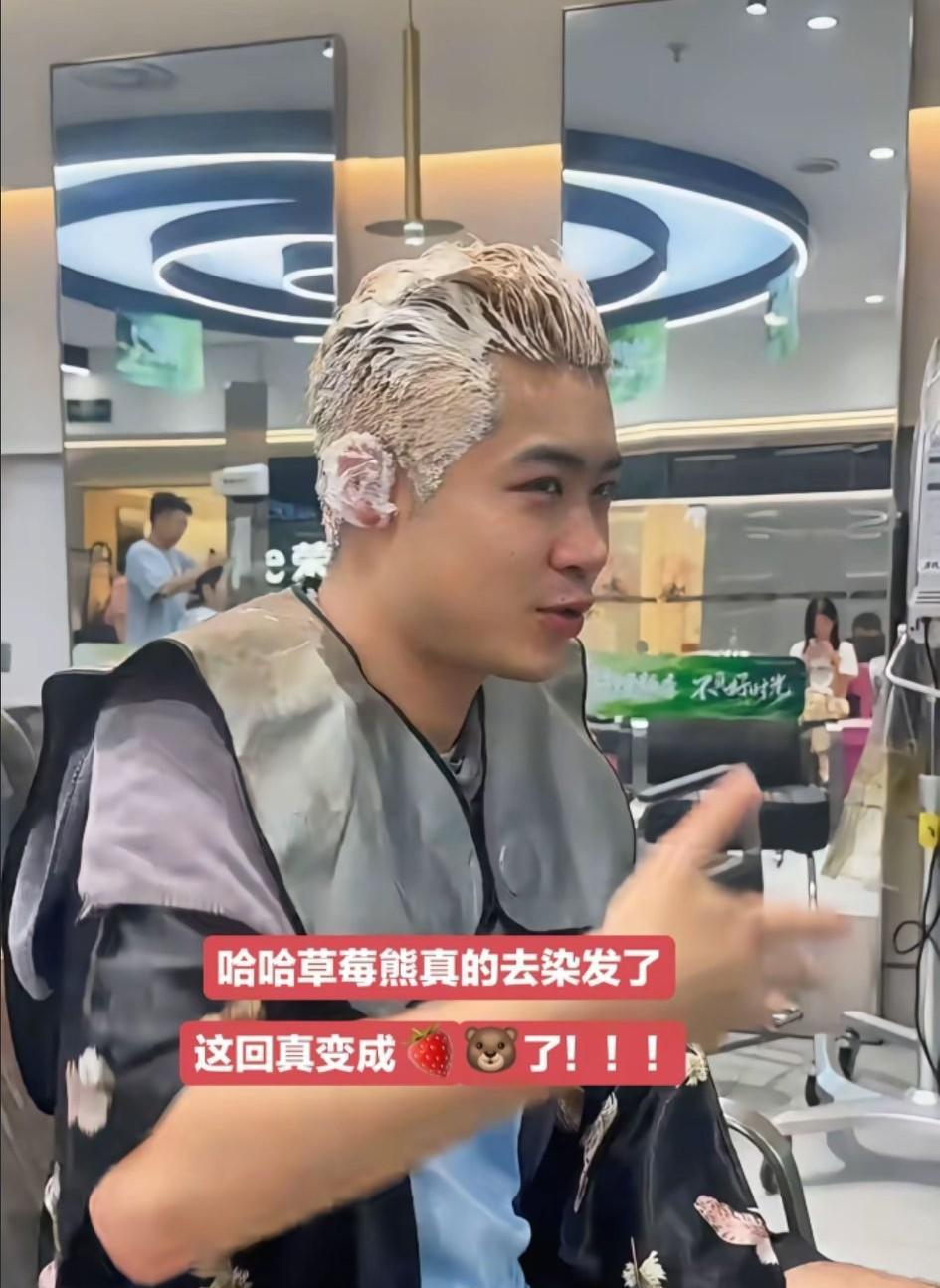 曹巍还真去染头发了。看到王晨策一头粉色的头发，他从新疆回来后，也是下定决心要染